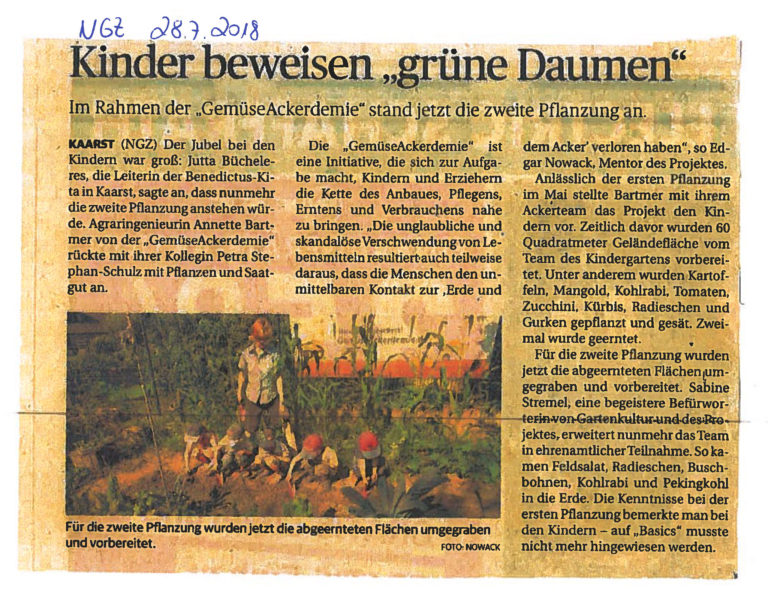 Read more about the article Kinder beweisen grünen Daumen
