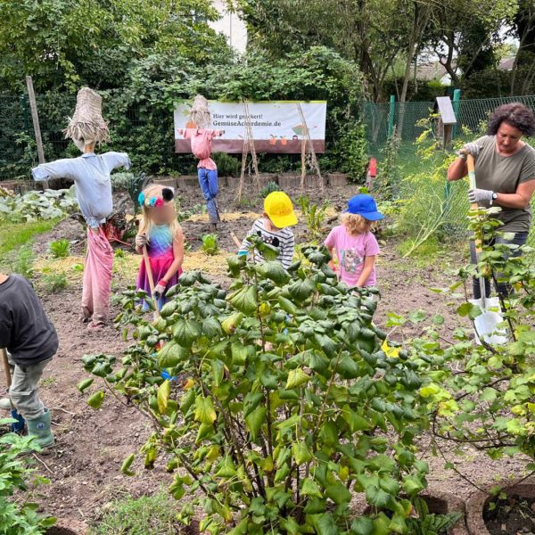 Gemüseackerdemie